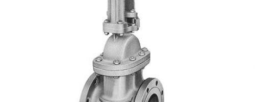 Válvula Gaveta Classe 125 – Castelo Aparafusado Válvula Gaveta Classe 125 – Castelo Aparafusado